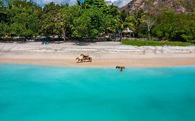 Scar Reef Resort